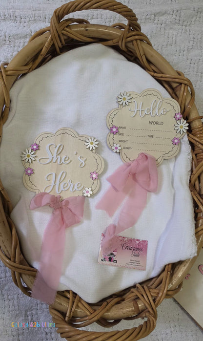 Baby Girl Birth Announcement Signs 👶✨