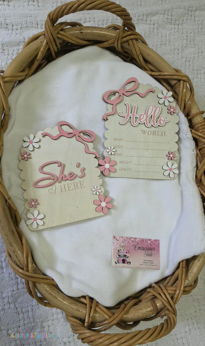 Baby Girl Birth Announcement Signs 👶✨