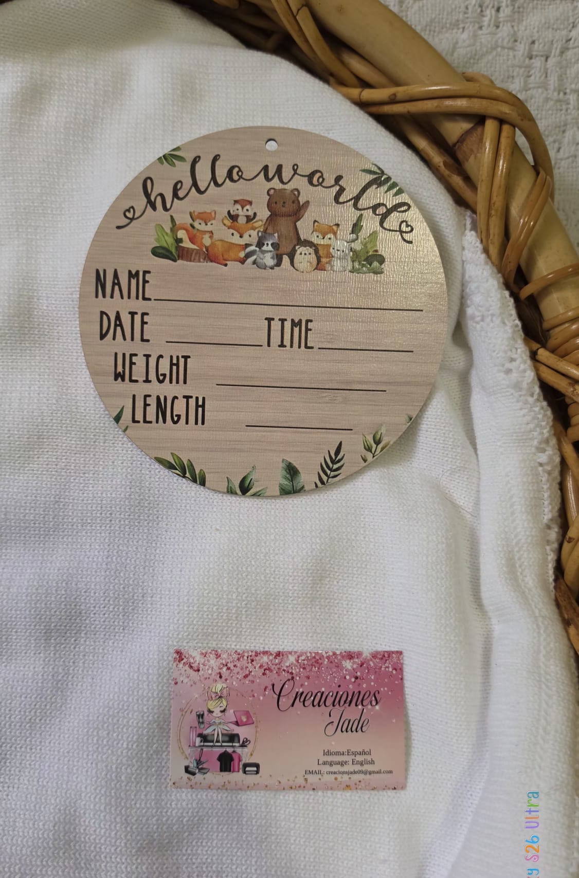 Baby Boy Birth Announcement Signs 👶🩵